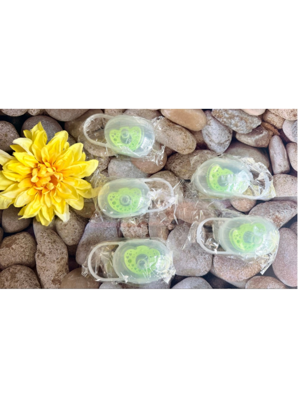NEW 5 PACIFIERS W/CASES